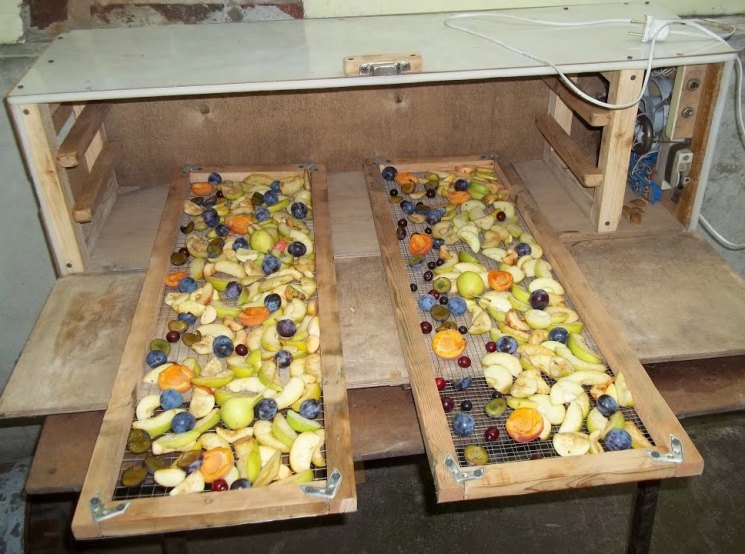 Сушилка для овощей и фруктов своими руками: особенности изготовления самодельной сушилки для фруктов
